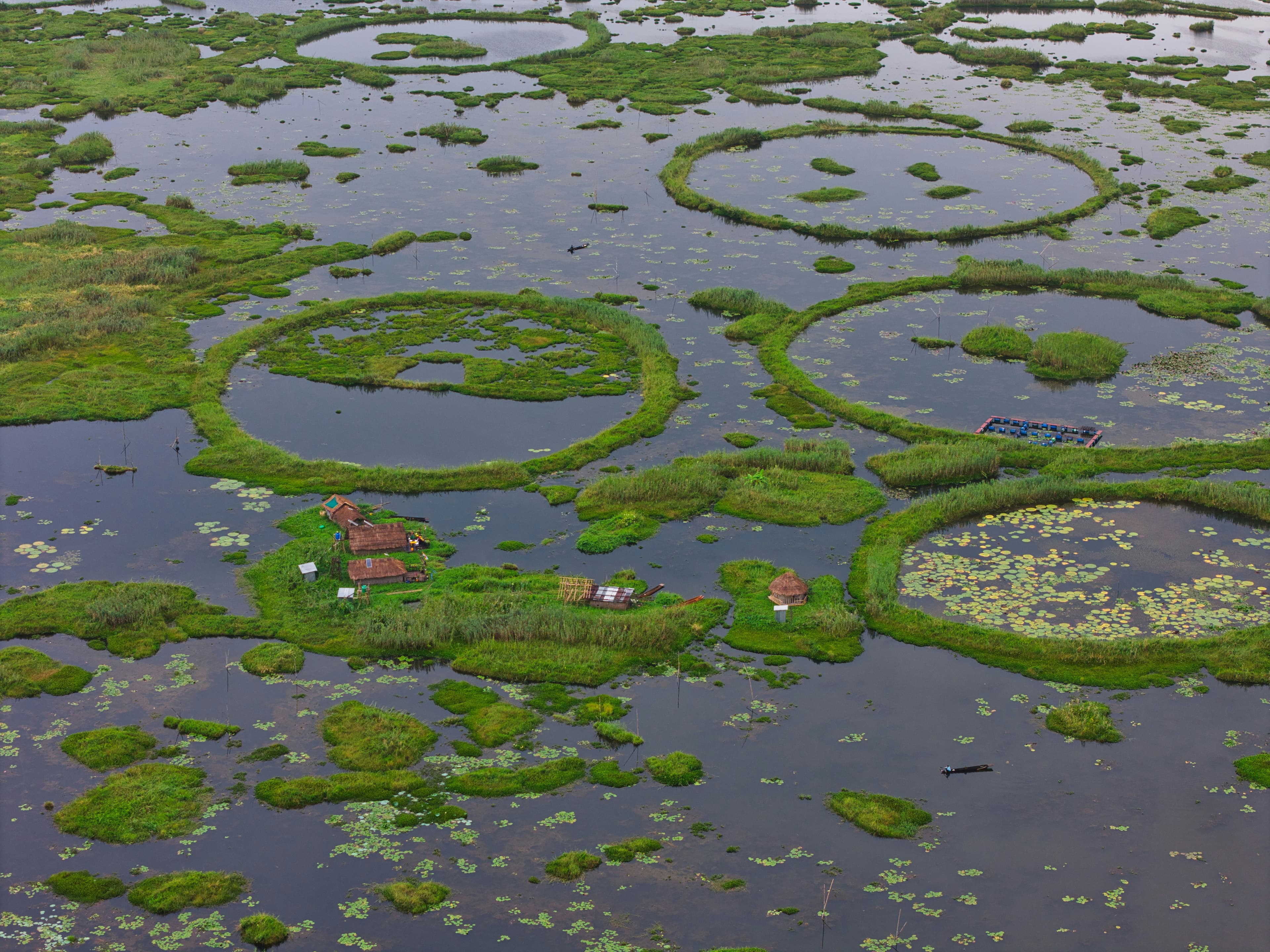 Manipur: Loktak Floating Lake & Sangai Trail