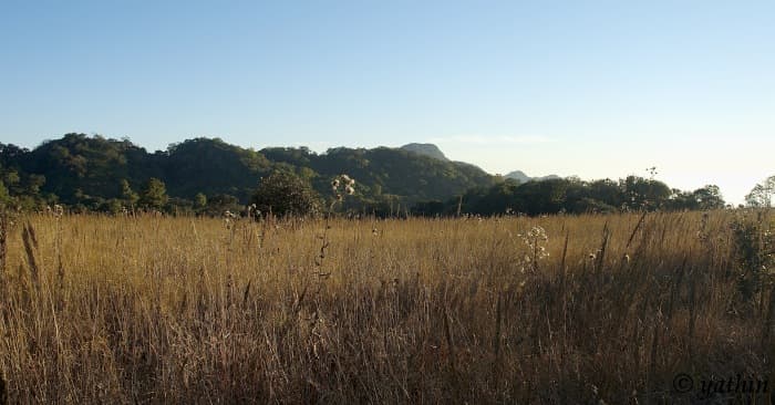 Mizoram